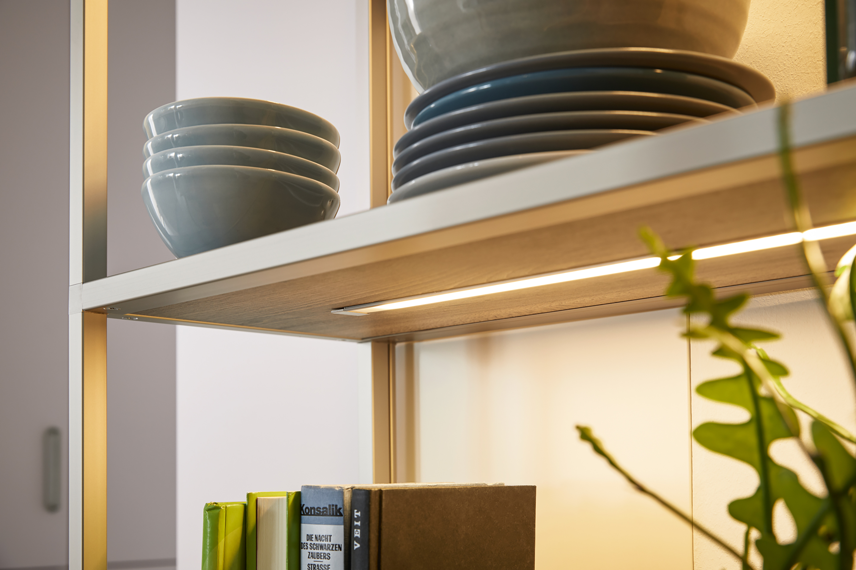 Frame, Regal, Beleuchtung 